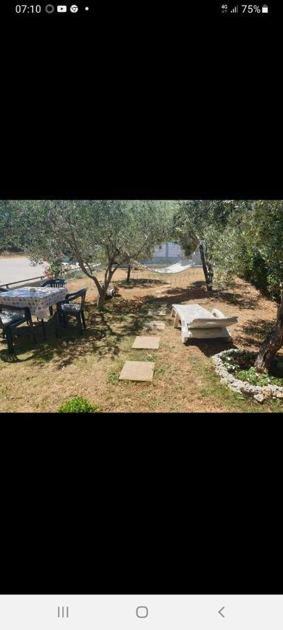 Apartman Marija Bibinje Luaran gambar